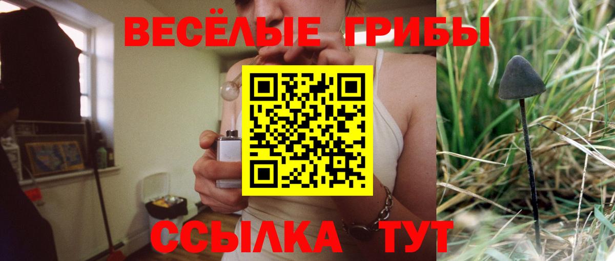 Галлюциногенные грибы GOLDEN TEACHER Нефтекамск